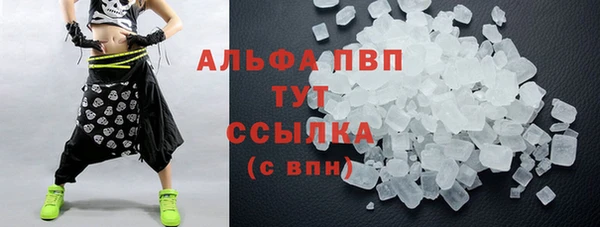 PSILOCYBIN Горнозаводск