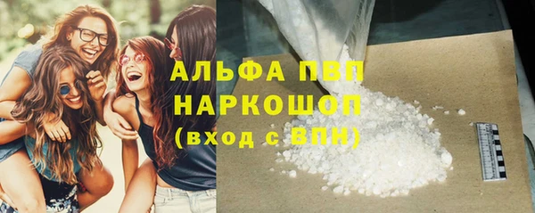 Альфа ПВП Горняк
