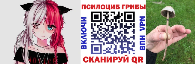 Купить где  Шумиха  Псилоцибиновые грибы мицелий 